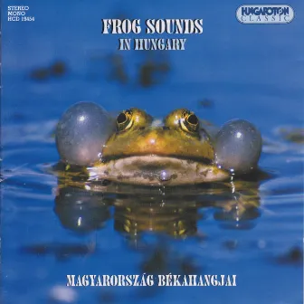 Frog Sounds In Hungary by na Not Applicable