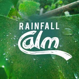 Rainfall Calm by Rain Sounds