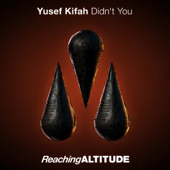 Didn't You by Yusef Kifah