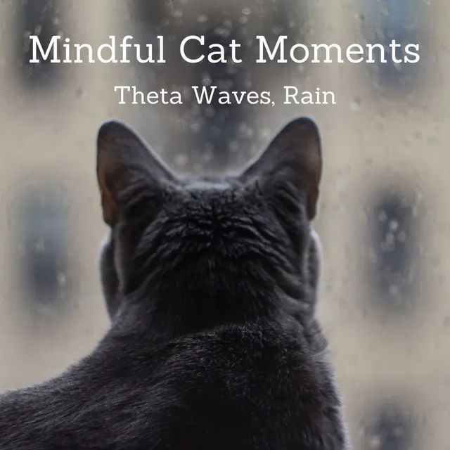 Theta Waves, Rainy Cat Reflections