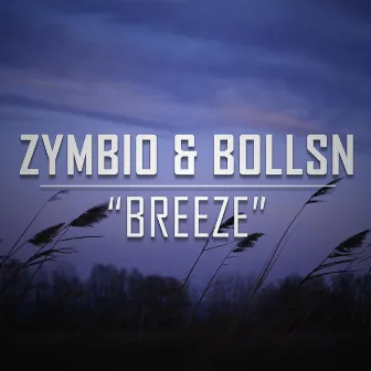 Breeze by Zymbio