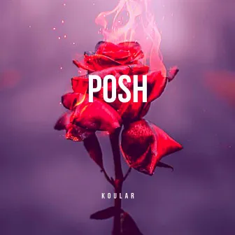 Posh by Koular