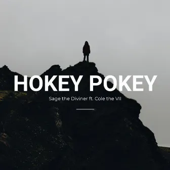 Hokey Pokey by Cole The VII