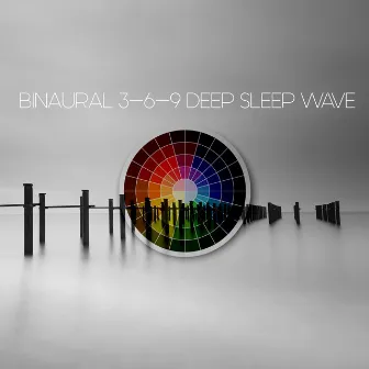 Binaural 3-6-9 Deep Sleep Wave by Binaural Fragment