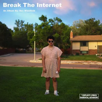 Break The Internet by Rex Winnfield