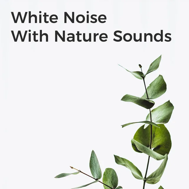 Ambient White Noise Nature Sounds