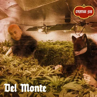 Del Monte by ORANGE FOX