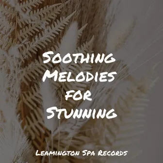 Soothing Melodies for Stunning by PowerThoughts Meditation Club