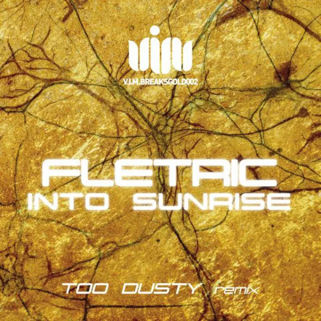 Into Sunrise - Too Dusty Remix