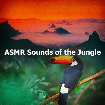 ASMR Sounds of the Jungle by The Sound Of The Jungle