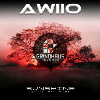 Sunshine by Awiio