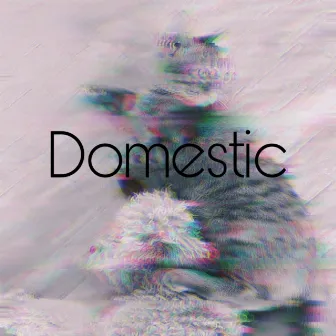 Domestic by Emily Barksdale