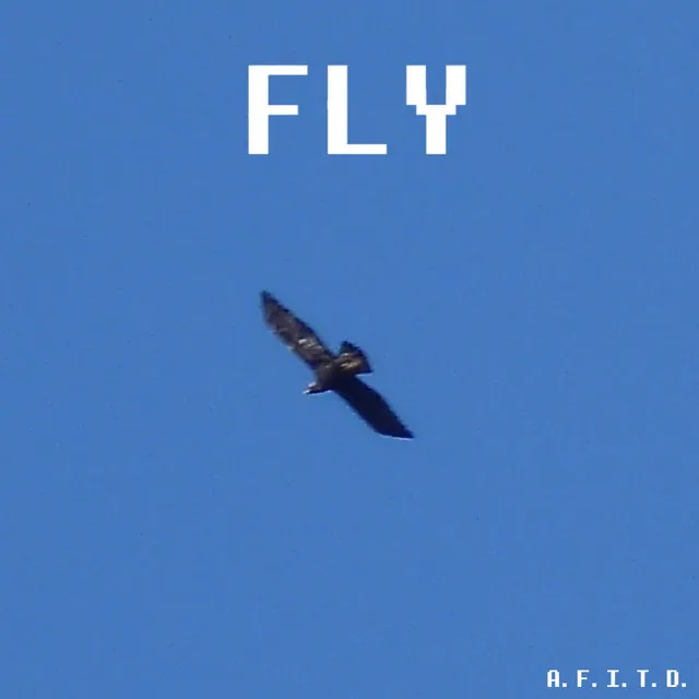 FLY