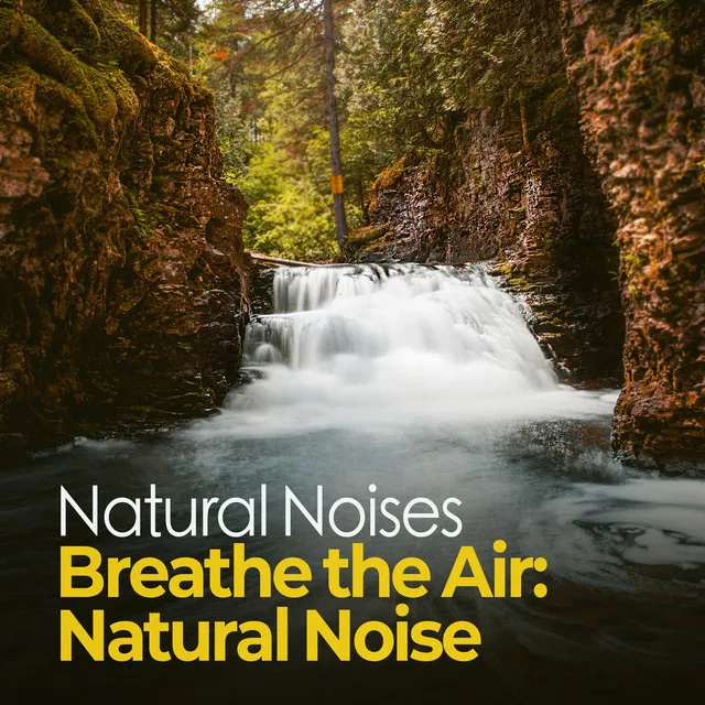 Breathe the Air: Natural Noise