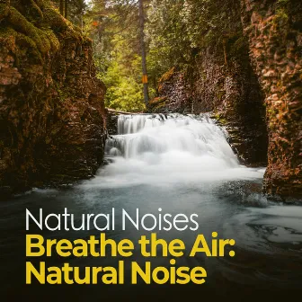 Breathe the Air: Natural Noise by Natural Noises