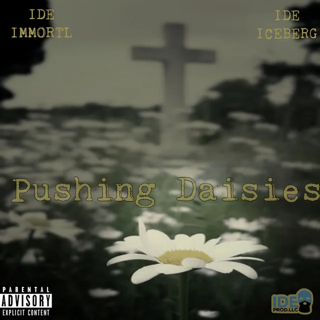 Pushing Daisies