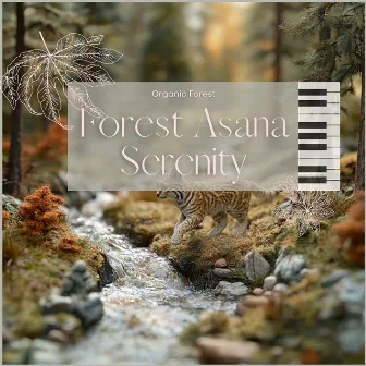 Forest Asana Serenity by Organic Forest