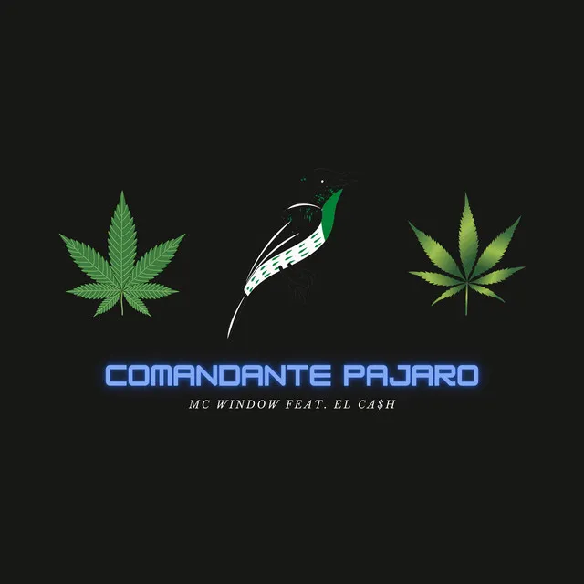 Comandante Pajaro