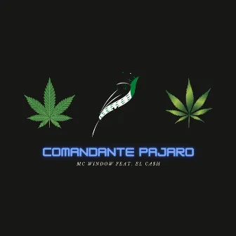 Comandante Pajaro by Mc Window