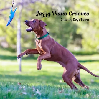 Jazzy Piano Grooves: Chasing Dogs Tunes by Morning Coffee Jazz