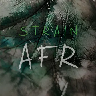 AFR by Strain