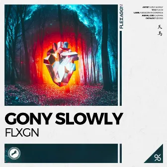 FLXGN by Gony Slowly