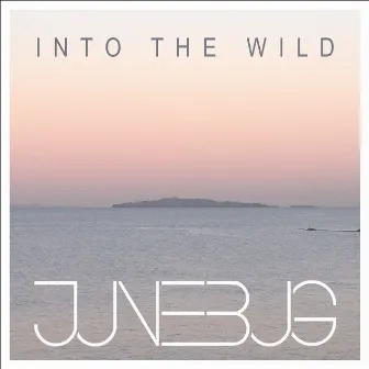 Into the Wild by Junebug