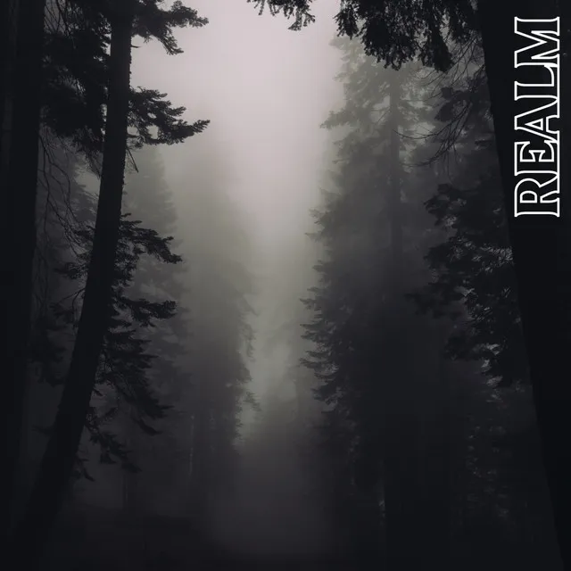 Realm