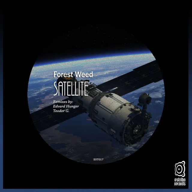 Satellite