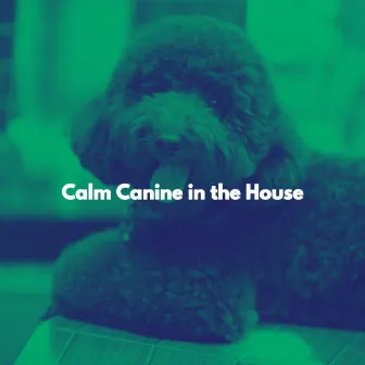 Calm Canine in the House by Chic Dinner Table Jazz