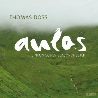 Thomas Doss (Aulos 2013) by Thomas Doss