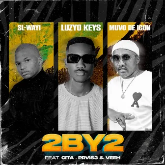 2 By 2 (feat. Cita, PRVIS3, Veeh) by Luzyo Keys