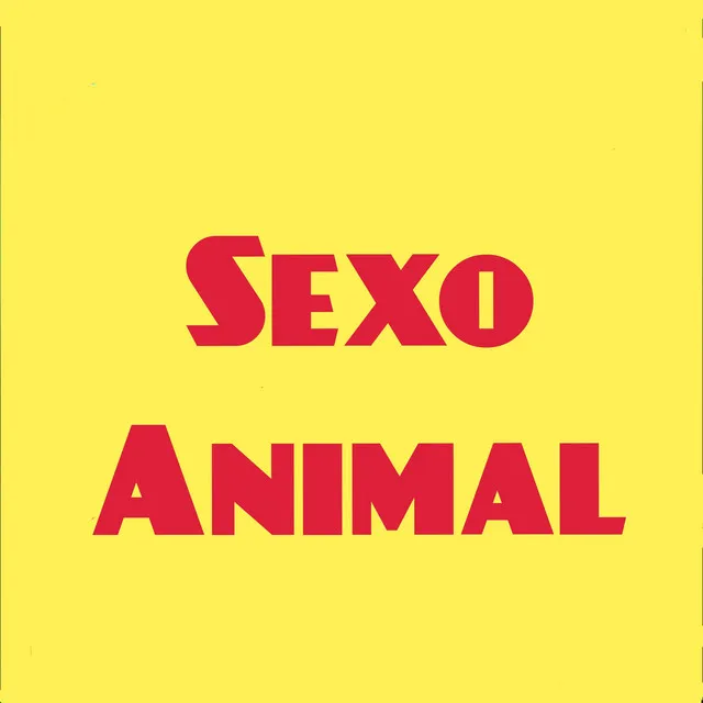 Sexo Animal