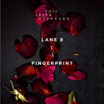 Fingerprint by Lane 8