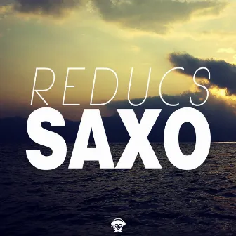 Saxo by Reducs