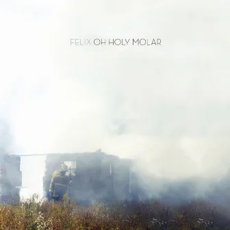 Oh Holy Molar by Felix