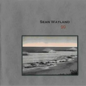 99 by Sean Wayland