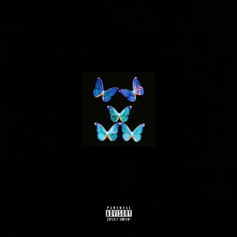 Butterfly Effect by UFOKIDS