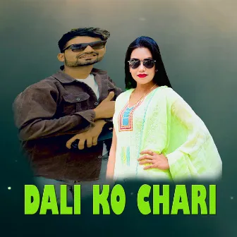 DALI KO CHARI by Arjun Gaihre