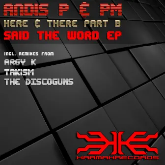 Here & There (Part B) - Said The Word Ep by Andis P