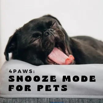 4Paws: Snooze Mode for Pets by Dog Music Bliss