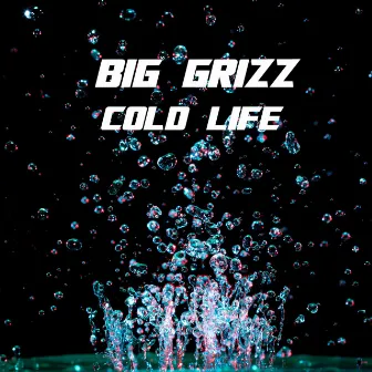 Cold Life by Big Grizz