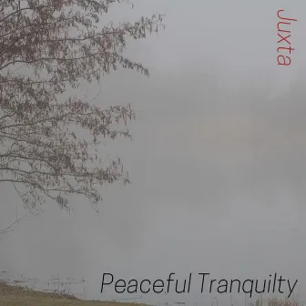 Peaceful Tranquility by Juxta