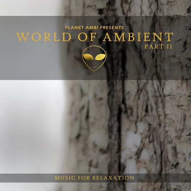 Planet Ambi Pres. World of Ambient, Pt. II (Music for Relaxation)