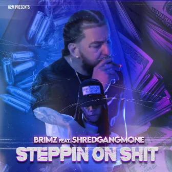 Steppin On Shit by Brimz