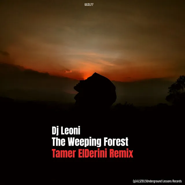 The Weeping Forest - Tamer ElDerini Remix