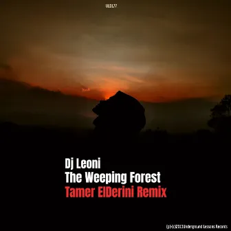 The Weeping Forest (Tamer ElDerini Remix) by Dj Leoni