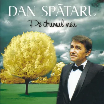 Pe drumul meu by Dan Spataru