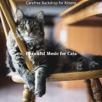 Carefree Backdrop for Kittens by Beautiful Music for Cats