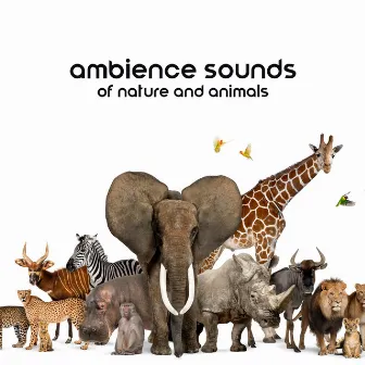 Ambience Sounds of Nature and Animals for Relaxation: Mindfulness for Kids by Having Fun by Sound of Nature Library